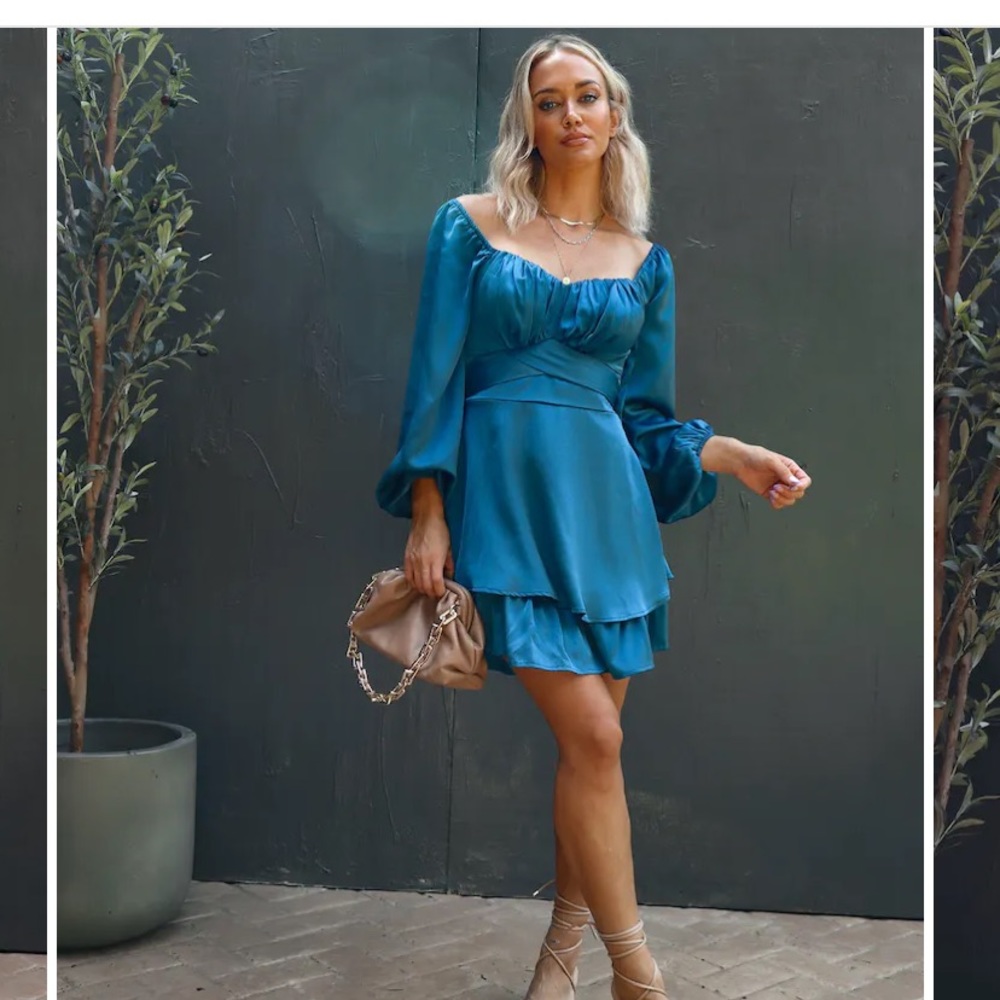 NWT Vici Blue dress